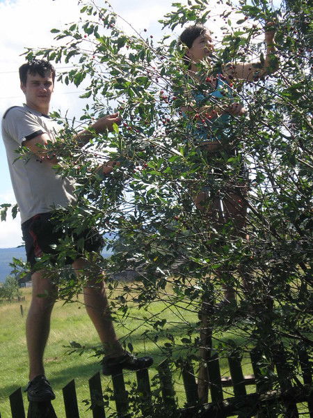 Владимир Малякин