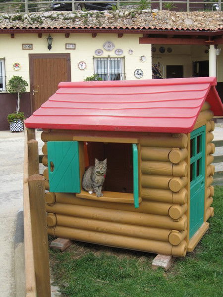 Федор Королев