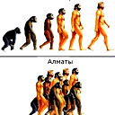 Дятел