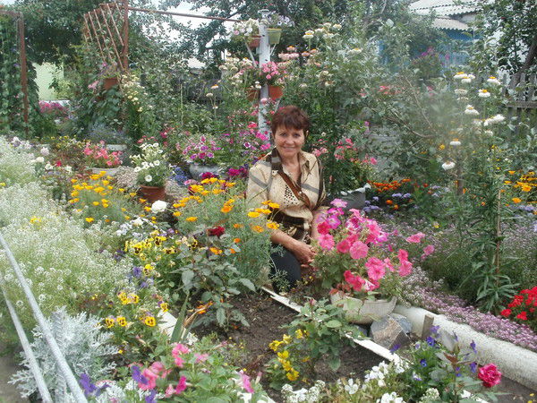 Вера Медведева