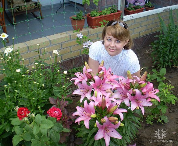 Юлия Ермоленко