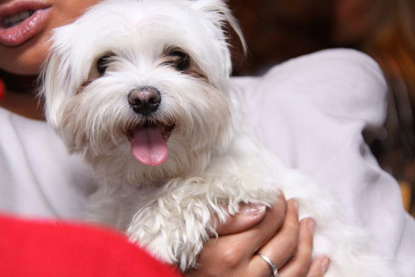 Малышка Милашка