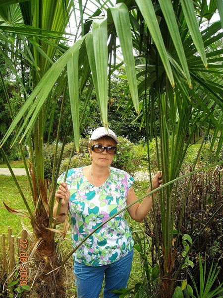 Наталья Григорьева