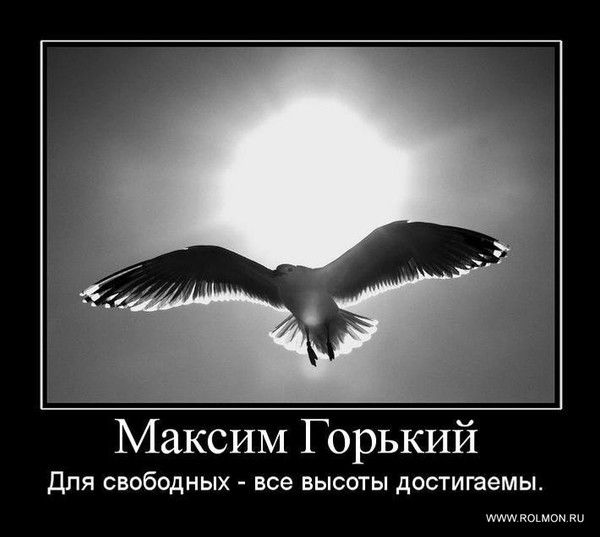 Вячеслав Кошкин