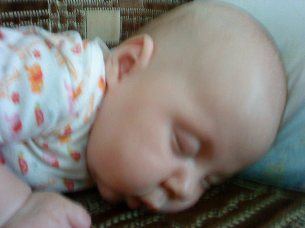 Елена Мощенкова