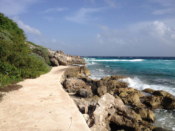 Настя Горовая