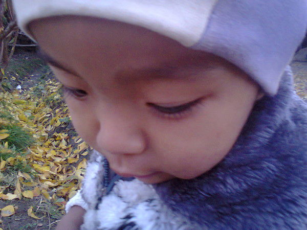 Жаныл Aйбekoва