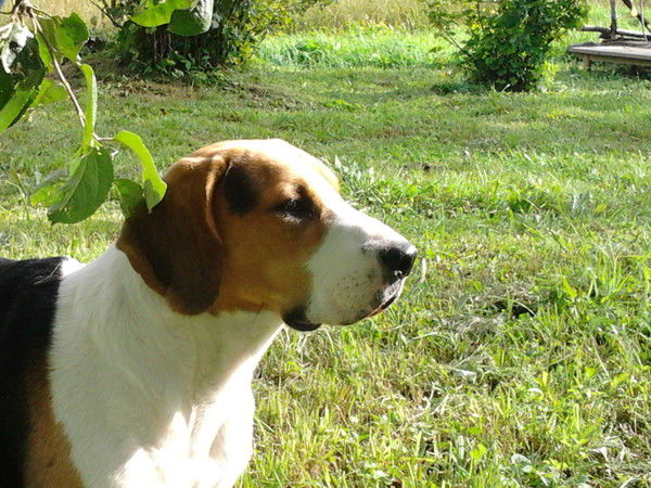 Ннннн Ннннн