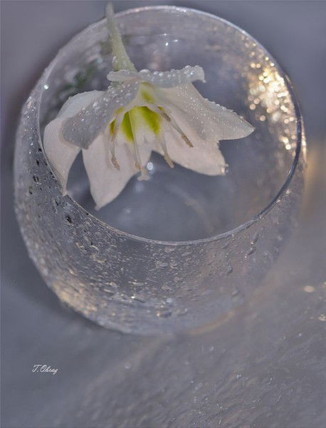 Оксана Ермакова