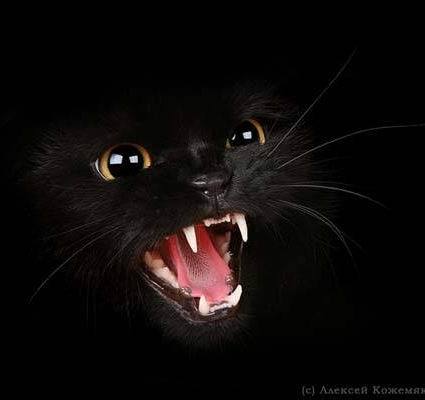 Лелик Дельнова