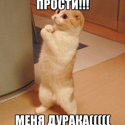 Паша Козлов