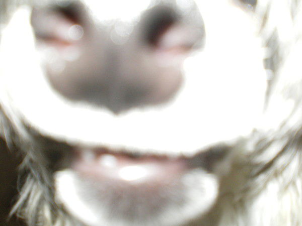 Наташа Котлин