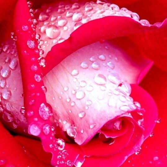 Маргарита Шадрина