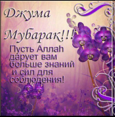 Muhlisa Tashkenbaeva