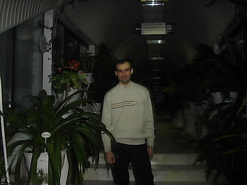 Чеботарев Дмитрий