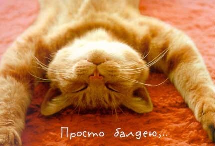 Наталья Протасова