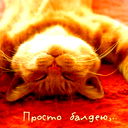 Наталья Протасова