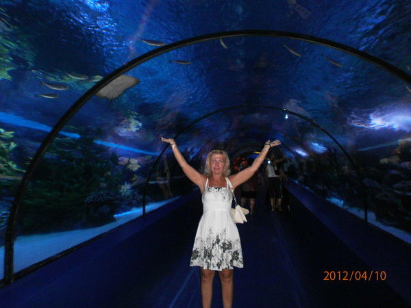 Ирина Дудник