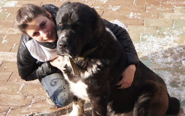 Виктория Норкина