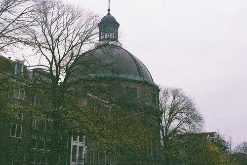 Дарьяна Палеева