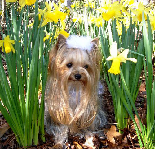 Нина Пикунова