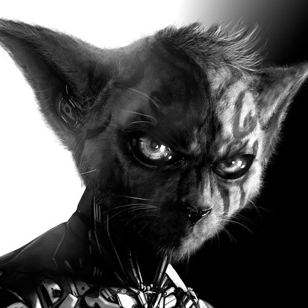 Адам Змановский