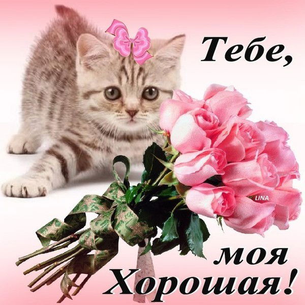 Ильсияр Сабирзянова