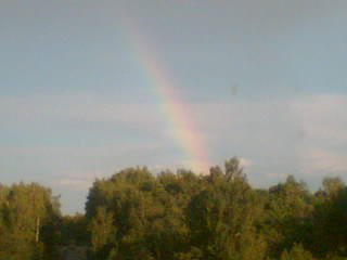 Елена Дмитриева