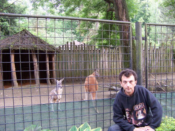 Андрй Гринькв (Б & К)