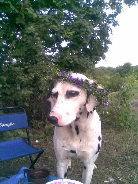 Виктор Раминский