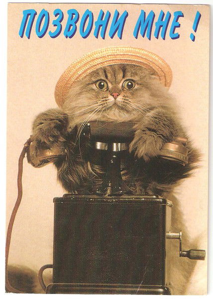 Елена Суркис