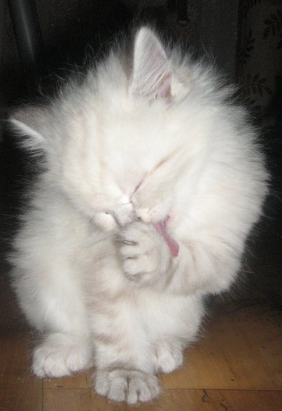 Наталья Табунова