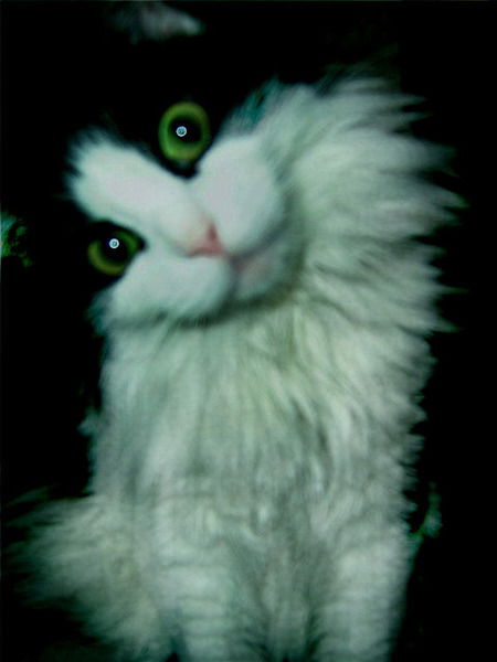 Марина Данилина