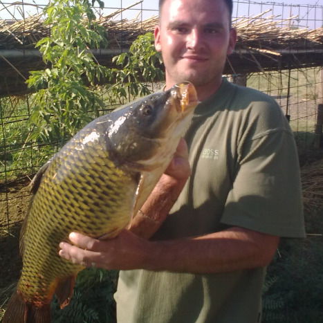 Александр Светашов