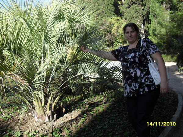 Алла Ліхацька