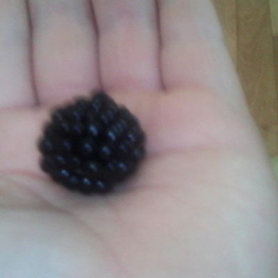 Саша Александр