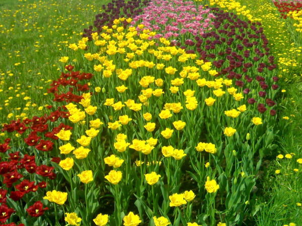 Евгений Губер