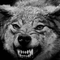 Гриша Елкин