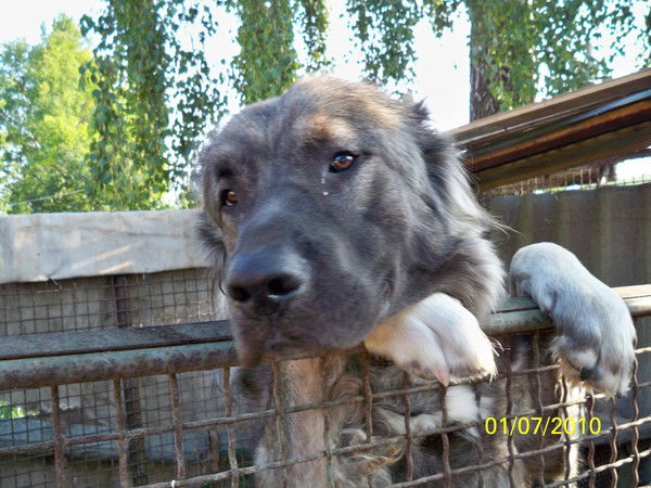 Сергей Борзенков