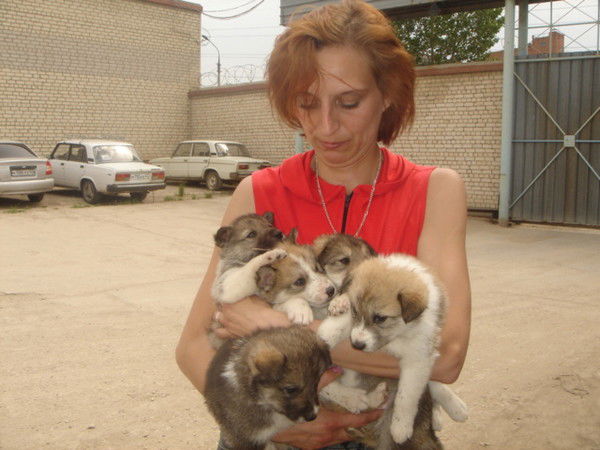 Инна Нарыкова