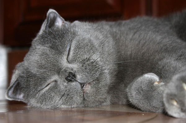 Алексей Белоусов