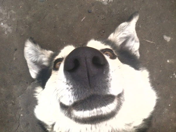 Александра Александра