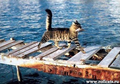 Ирина Филимонова