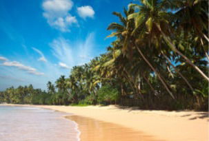 Линия Путешествий