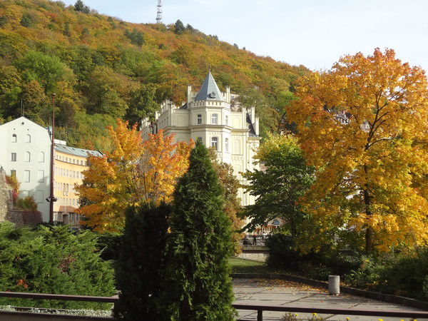 Наташа Нежиренко