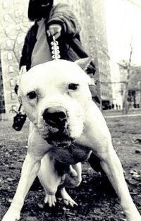 Михаил Невежин