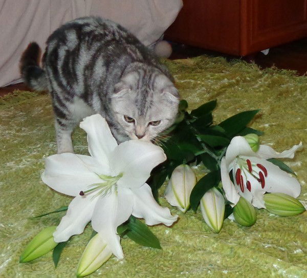 Анастасия Кунц