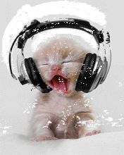 Евгения Литвиненко