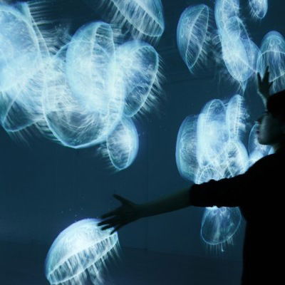 Арина Черненченко