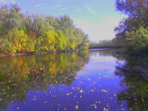 Владимир Двизов